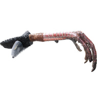Turkey Foot Handle Obsidian Blade Ornamental Knife #1858  Mountain Man Knife