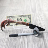 Turkey Foot Handle Obsidian Blade Ornamental Knife #1858  Mountain Man Knife