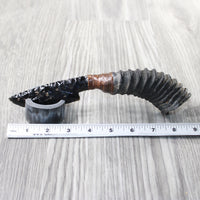 Springbok Horn Handle Obsidian Blade Ornamental Knife #6958  Mountain Man Knife