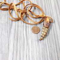 Large Rattlesnake Rattle  Necklace  #6958    Mountain Man Necklace