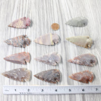 10 Large Stone Ornamental Arrowheads  #3958     Agate Jasper Arrowheads