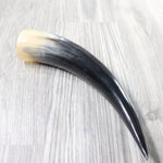 1 Polished Cow Horn #4958    Natural Colored