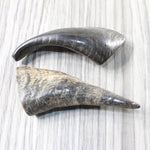 2 Small Polished Goat Horns #4058      Natural Colored