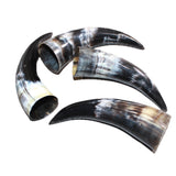 4 Small Polished Cow Horns #267    Natural colored