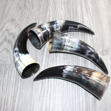 4 Small Polished Cow Horns #267    Natural colored