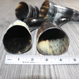 4 Small Polished Cow Horns #267    Natural colored
