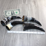 4 Small Polished Cow Horns #267    Natural colored