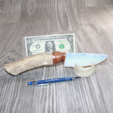 Elk Antler Handle Opalite Blade Ornamental Knife #11267     Mountain Man Knife