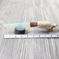 Coyote Foot Handle Opalite Blade Ornamental Knife #7258     Mountain Man Knife
