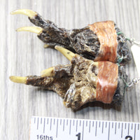Alligator Feet Earrings  #4258  Mountain Man Earrings