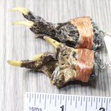 Alligator Feet Earrings  #4258  Mountain Man Earrings