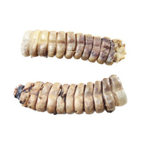 2 Very Large Stiff Rattlesnake Rattles  #7258    Taxidermy Diamondback Sidewinder