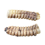 2 Very Large Stiff Rattlesnake Rattles  #7258    Taxidermy Diamondback Sidewinder