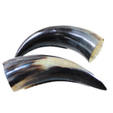 2 Polished Cow Horns #6849 Natural colored