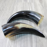 2 Polished Cow Horns #6849 Natural colored