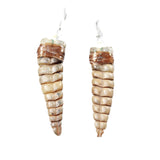 Extra Large Rattlesnake Rattle Earrings  #6358  Mountain Man Earrings