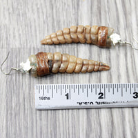 Extra Large Rattlesnake Rattle Earrings  #6358  Mountain Man Earrings