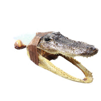 Alligator Head Handle Opalite Blade Ornamental Knife #2458     Mountain Man Knife