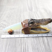 Alligator Head Handle Opalite Blade Ornamental Knife #2458     Mountain Man Knife