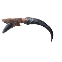 Springbok Horn Handle Stone Blade Ornamental Knife #6458    Mountain Man Knife