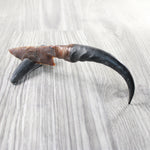 Springbok Horn Handle Stone Blade Ornamental Knife #6458    Mountain Man Knife