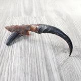 Springbok Horn Handle Stone Blade Ornamental Knife #6458    Mountain Man Knife