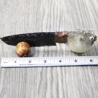 Parrot Puffer Fish Handle Obsidian Blade Ornamental Knife #6558  Mountain Man Knife