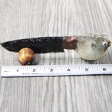 Parrot Puffer Fish Handle Obsidian Blade Ornamental Knife #6558  Mountain Man Knife