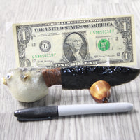 Parrot Puffer Fish Handle Obsidian Blade Ornamental Knife #6558  Mountain Man Knife