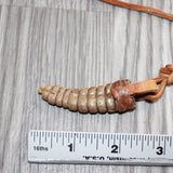 Very Very Large Rattlesnake Rattle  Necklace  #25467    Mountain Man Necklace