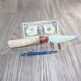 Axis Deer Antler Handle Opalite Blade Ornamental Knife # 13567    Mountain Man Knife