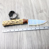Cholla Cactus Wood Handle Opalite Blade Ornamental Knife #8558     Mountain Man Knife