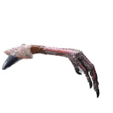 Turkey Foot Handle Stone Blade Ornamental Knife #7658    Mountain Man Knife