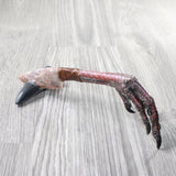 Turkey Foot Handle Stone Blade Ornamental Knife #7658    Mountain Man Knife