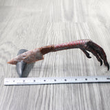 Turkey Foot Handle Stone Blade Ornamental Knife #7658    Mountain Man Knife