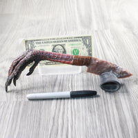 Turkey Foot Handle Stone Blade Ornamental Knife #7658    Mountain Man Knife