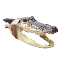 Alligator Head Handle Obsidian Blade Ornamental Knife #  Mountain Man Knife