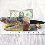 Alligator Head Handle Obsidian Blade Ornamental Knife #  Mountain Man Knife