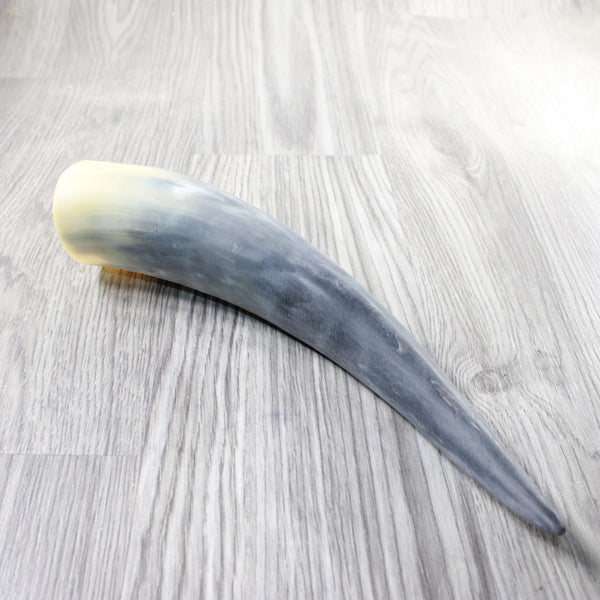 1 Raw Unfinished Cow Horn #1658   Natural Colored