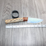 Cholla Cactus Wood Handle Opalite Blade Ornamental Knife #21367