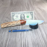 Cholla Cactus Wood Handle Opalite Blade Ornamental Knife #21367