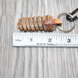 Large Rattlesnake Rattle Key Ring   #25367       Key Chain