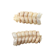 2 Small Rattlesnake Rattles  #4858    Taxidermy Diamondback Sidewinder