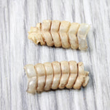 2 Small Rattlesnake Rattles  #4858    Taxidermy Diamondback Sidewinder
