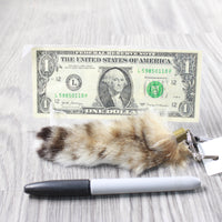 1 Bobcat Tail Key Ring #1858  Taxidermy Keychain Tassel Bag Tag