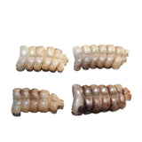4 Small Rattlesnake Rattles  #1567   Taxidermy Diamondback Sidewinder