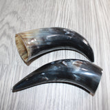2 Small Polished Cow Horns #667    Natural colored