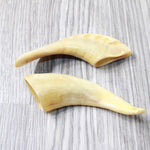 2 Small Polished Goat Horns #4159      Natural Colored