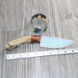 Coyote Foot Handle Opalite Blade Ornamental Knife # 27367