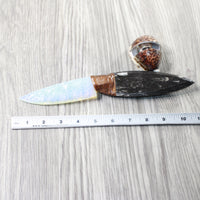 Orthoceras Fossil Handle Opalite Blade Ornamental Knife #0359     Mountain Man Knife